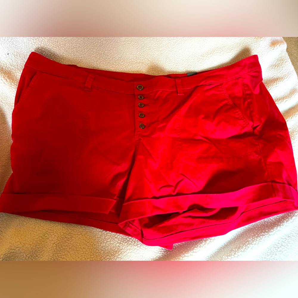 Torrid shorts
